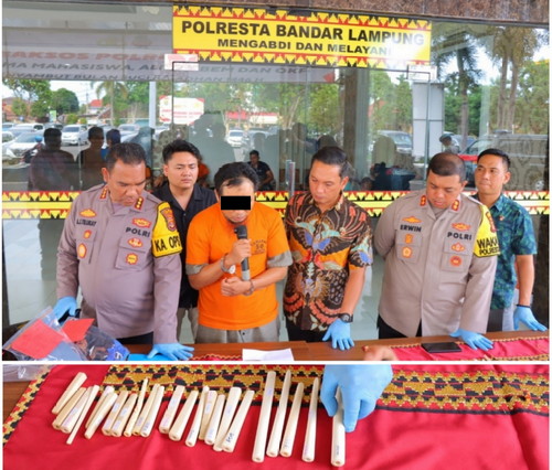 Jual Puluhan Pipa Gading Rokok, Pedagang Sepatu di Bandar Lampung Ditangkap Polisi