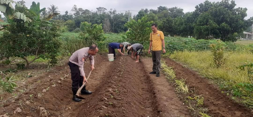 Camat Abung Semuli Perkuat Ketahanan Pangan Nasional Melalui Pemanfaatan Pekarangan