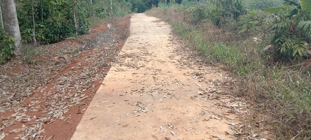 Rawan Penyimpangan Dana Desa, Pembangunan Rabat Beton di Lepang Tengah Tanpa Papan Proyek