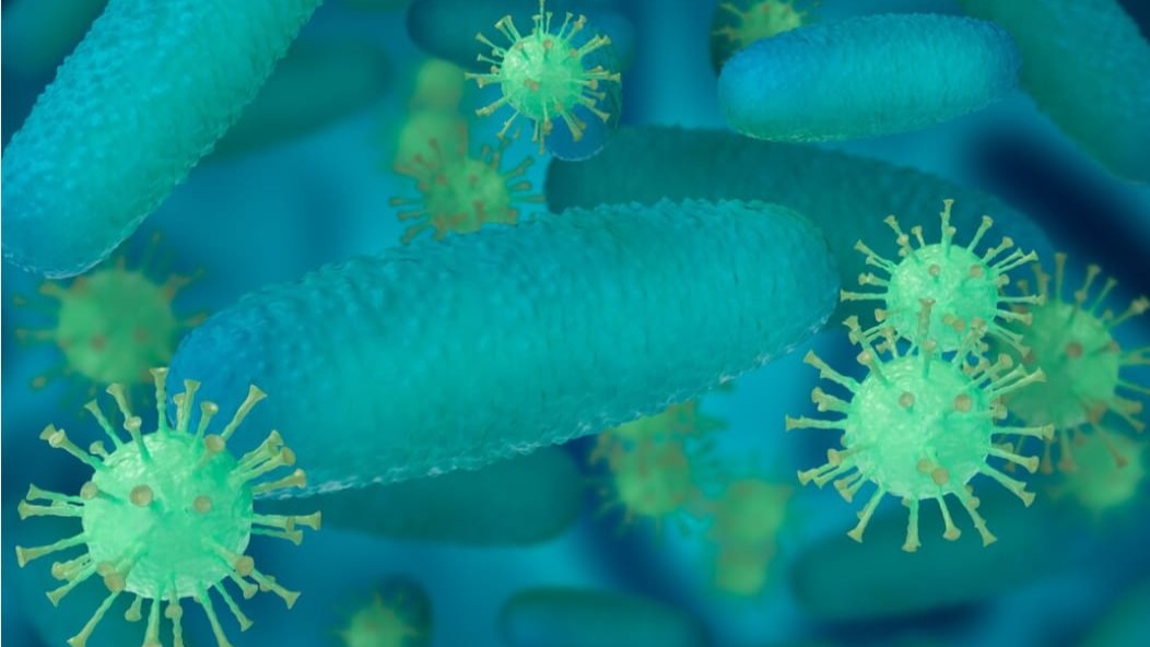 Vibrio cholerae: Bakteri Penyebab Kolera yang Perlu Diwaspadai