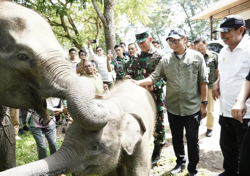 Prabowo Siapkan Rp839 Miliar untuk Pagar dan Restorasi Ekosistem Way Kambas