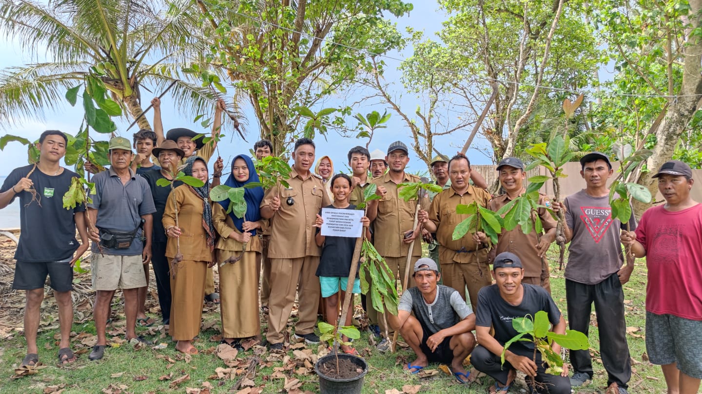 Cegah Abrasi Pantai, 200 Bibit Pohon Ditanam di Pinggir Pantai Tanjung Setia