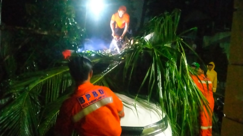 Cuaca Ekstrem Terjang Bandar Lampung, Pohon Tumbang dan Tembok Sekolah Ambruk