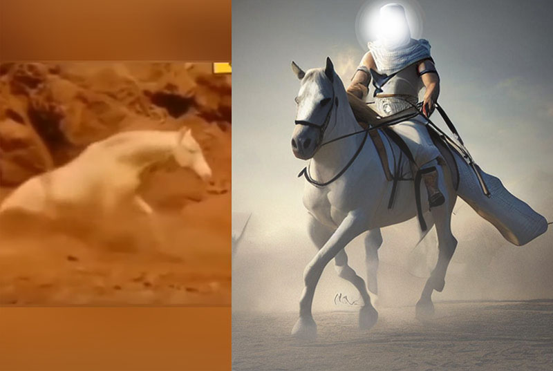 Viral! Kuda Putih Imam Mahdi Muncul dari Dalam Tanah Merah