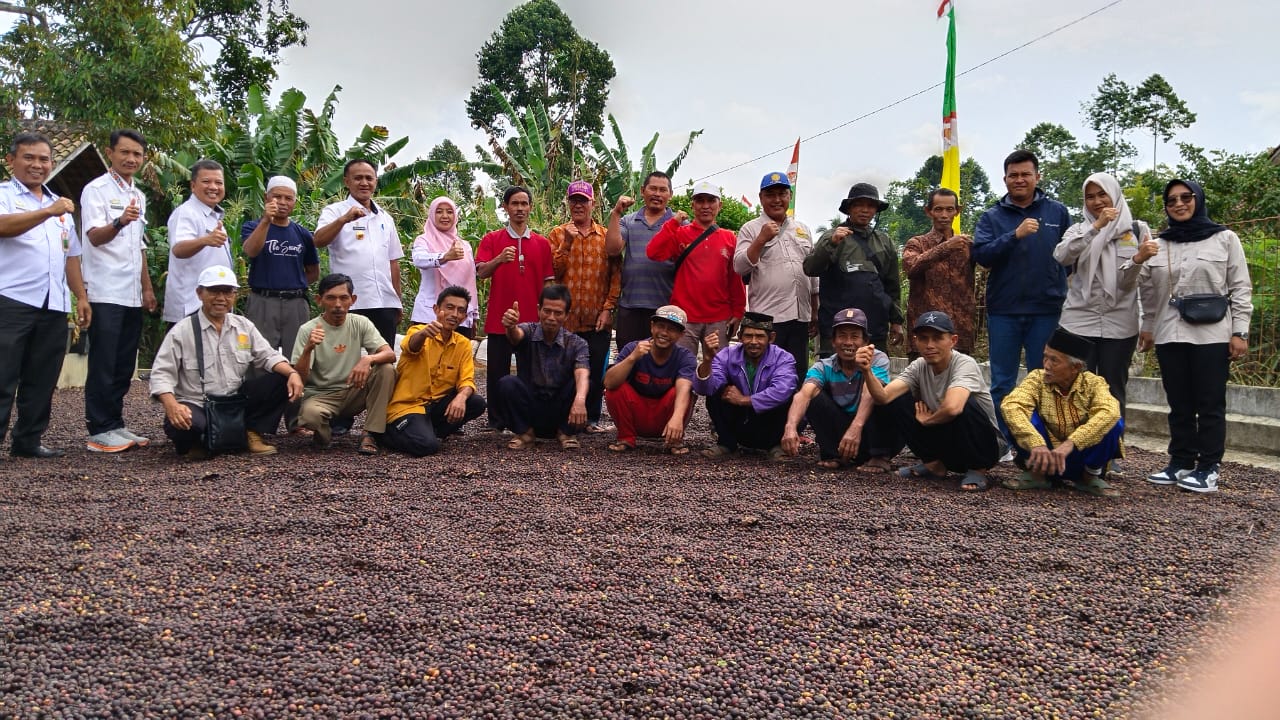 Diskusi Terkait Target Produksi 8 Ton Per Hektar, Disbunnak Lampung Barat Sambangi Petani Kopi di Kebun Tebu