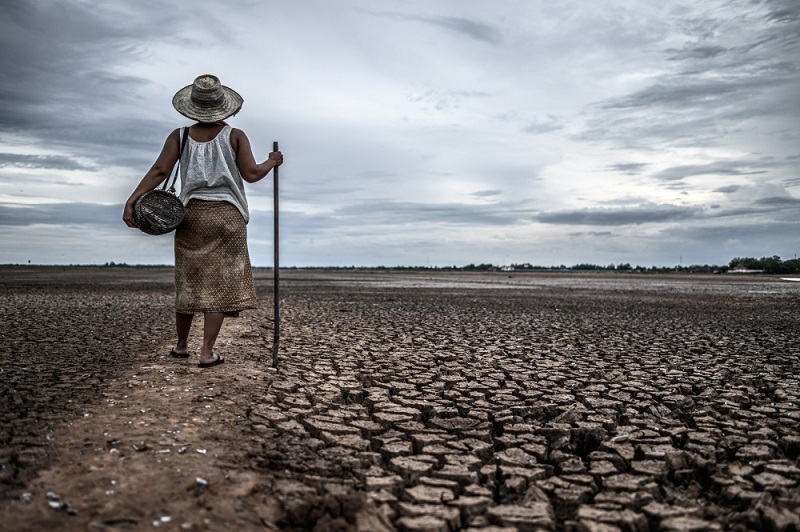 El Nino Bakal Menghantam Indonesia, Akibatkan Kekeringan Panjang di 32 Provinsi