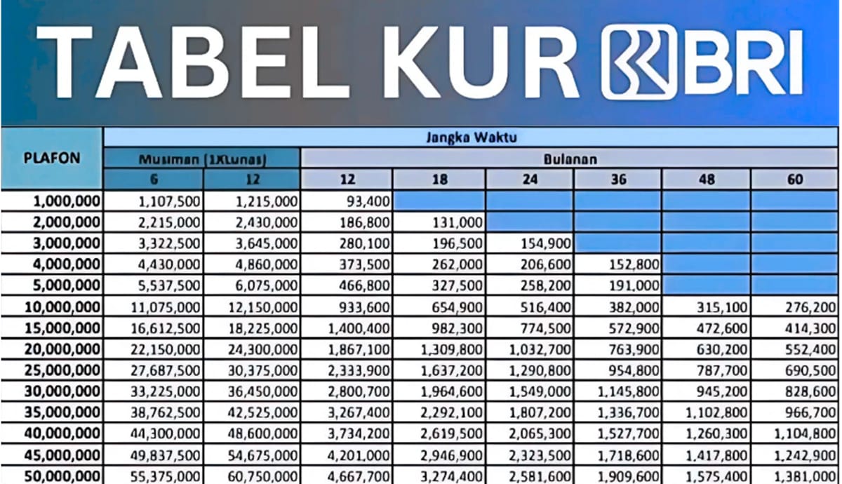 UMKM Bisa Ajukan KUR BRI 2025 Rp80 Juta dengan Tenor Fleksibel