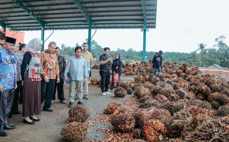 Lampung Timur Punya Pabrik Sawit Baru, Wagub Jihan: Ini Tonggak Pertumbuhan Ekonomi Daerah