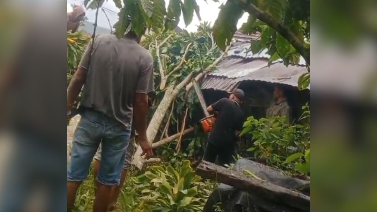 Hujan Deras dan Angin Kencang Terjang Sekincau, 11 Rumah Rusak di Giham Sukamaju