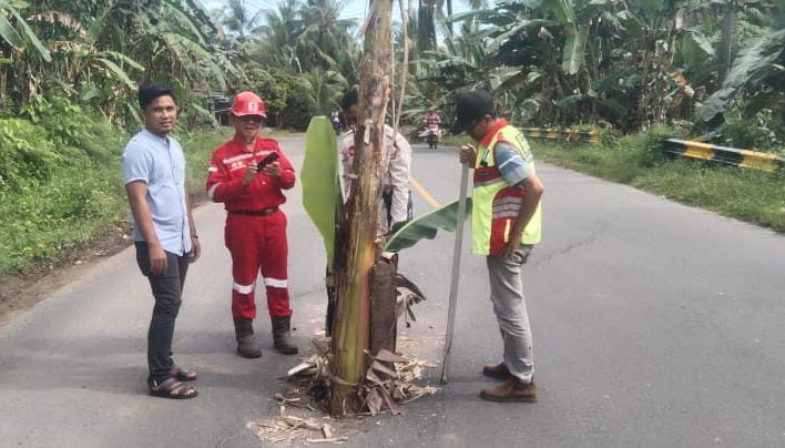 Pasca Ditanam Pisang, Satker PJN Segera Tangani Lubang Jalan di Jalinbar