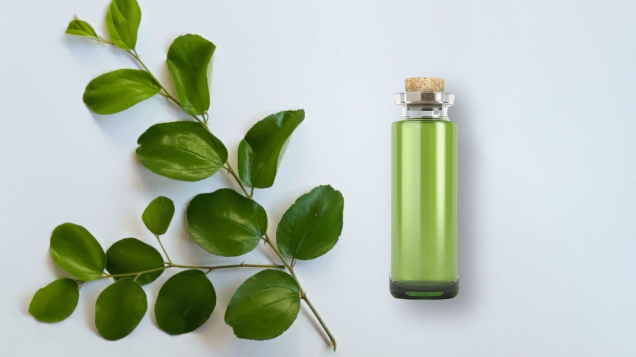 Rahasia Manfaat Minyak Bidara untuk Kesehatan Tubuh dan Kecantikan Alami