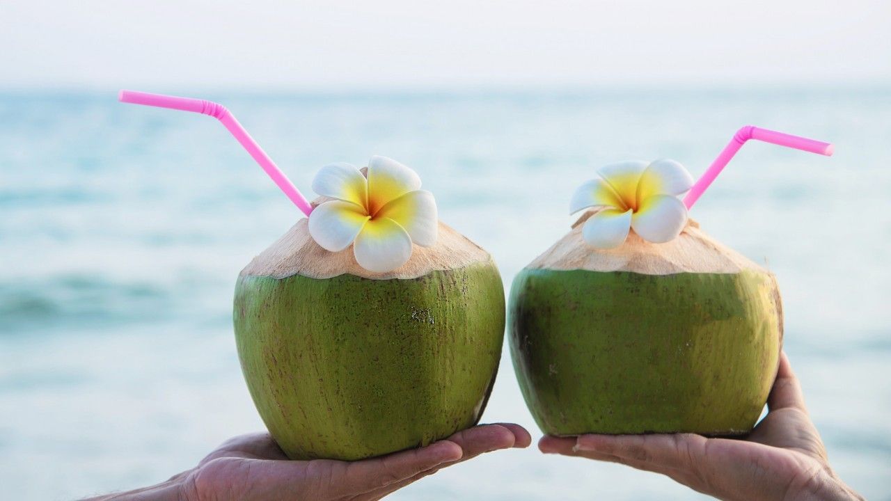 Jangan Salah Sangka, Ini Manfaat Dugan yang Jarang Diketahui