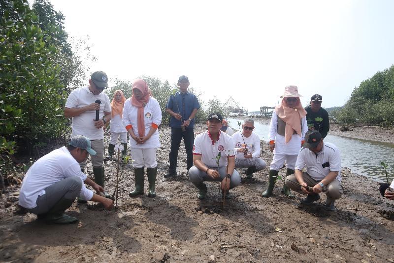 Lestarikan Habitat Laut, Dharma Wanita Kemenag Lampung Tanam Mangrove dan Bersih Pantai