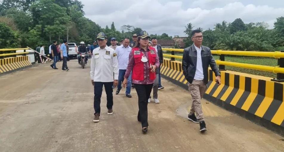 Komisi IV DPRD Lampung Sidak ke Jembatan Ambrol di Lamteng