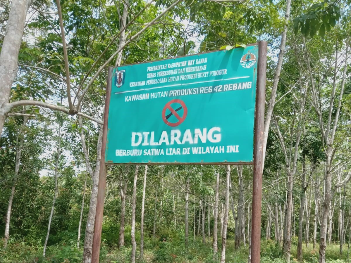 Salah Satu Perusahaan di Way Kanan DIduga Bebas Merusak Hutan