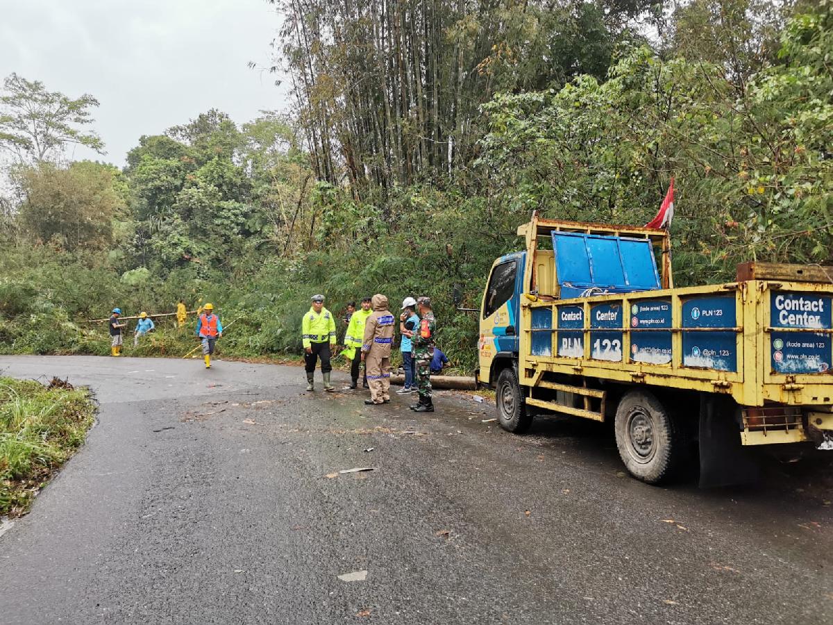 Sempat Macet Akibat Tiang Listrik Roboh, Lalu Lintas Liwa -Ranau Kembali Normal