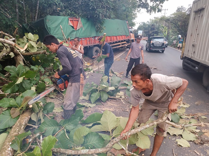 Dibantu Warga, Polisi Evakuasi Pohon Tumbang di Jalintengsum