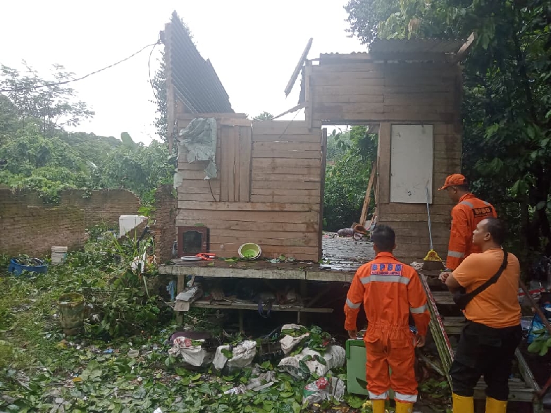 Rumah Warga di Teluk Betung Timur Tertimpa Pohon Akibat Hujan Deras dan Angin Kencang