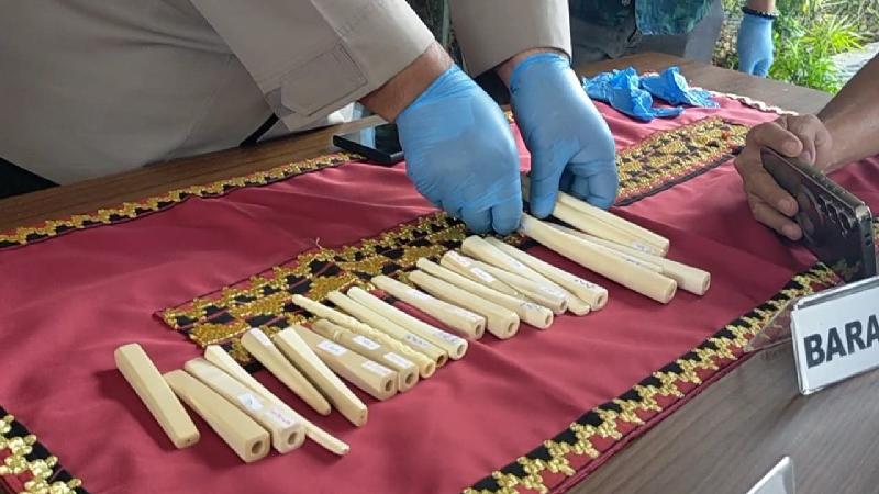 Polda Lampung Tegaskan Larangan Perdagangan Bagian Tubuh Satwa Dilindungi