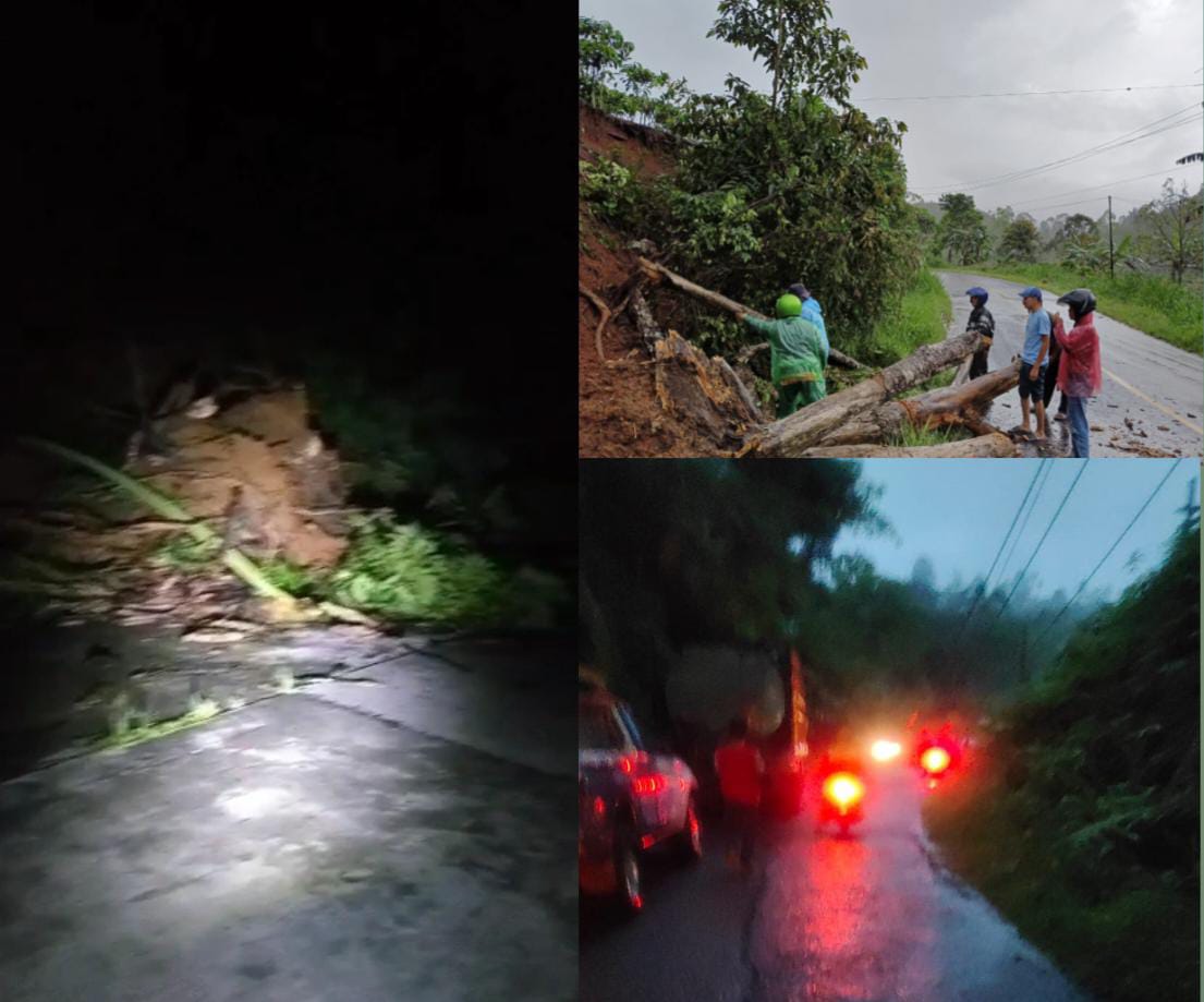 Masuki Musim Penghujan, Sejumlah Wilayah di Lampung Barat Dilanda Longsor dan Pohon Tumbang 