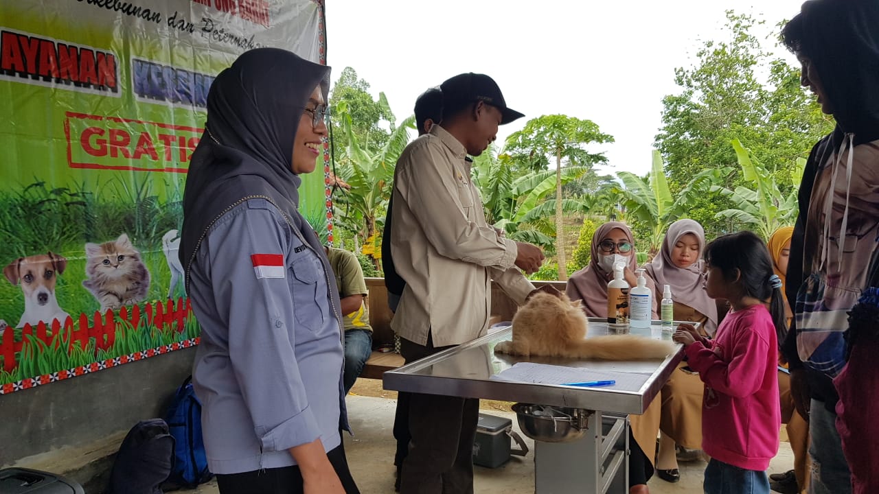 Masyarakat Antusias Ikuti Pelayanan Kesehatan Hewan yang Digelar Disbunnak Lampung Barat