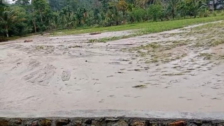 Empat Hektar Sawah Warga di Bandar Agung Terendam Banjir, Petani Terancam Gagal Panen