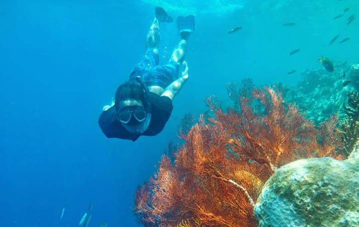 Pulau Menjangan Besar: Destinasi Unik dengan Penangkaran Hiu di Karimunjawa
