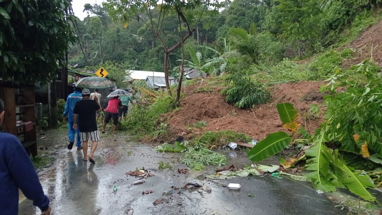 Tanah Longsor Tutup Jalan Liwa-Krui, Satu Rumah Warga Terdampak