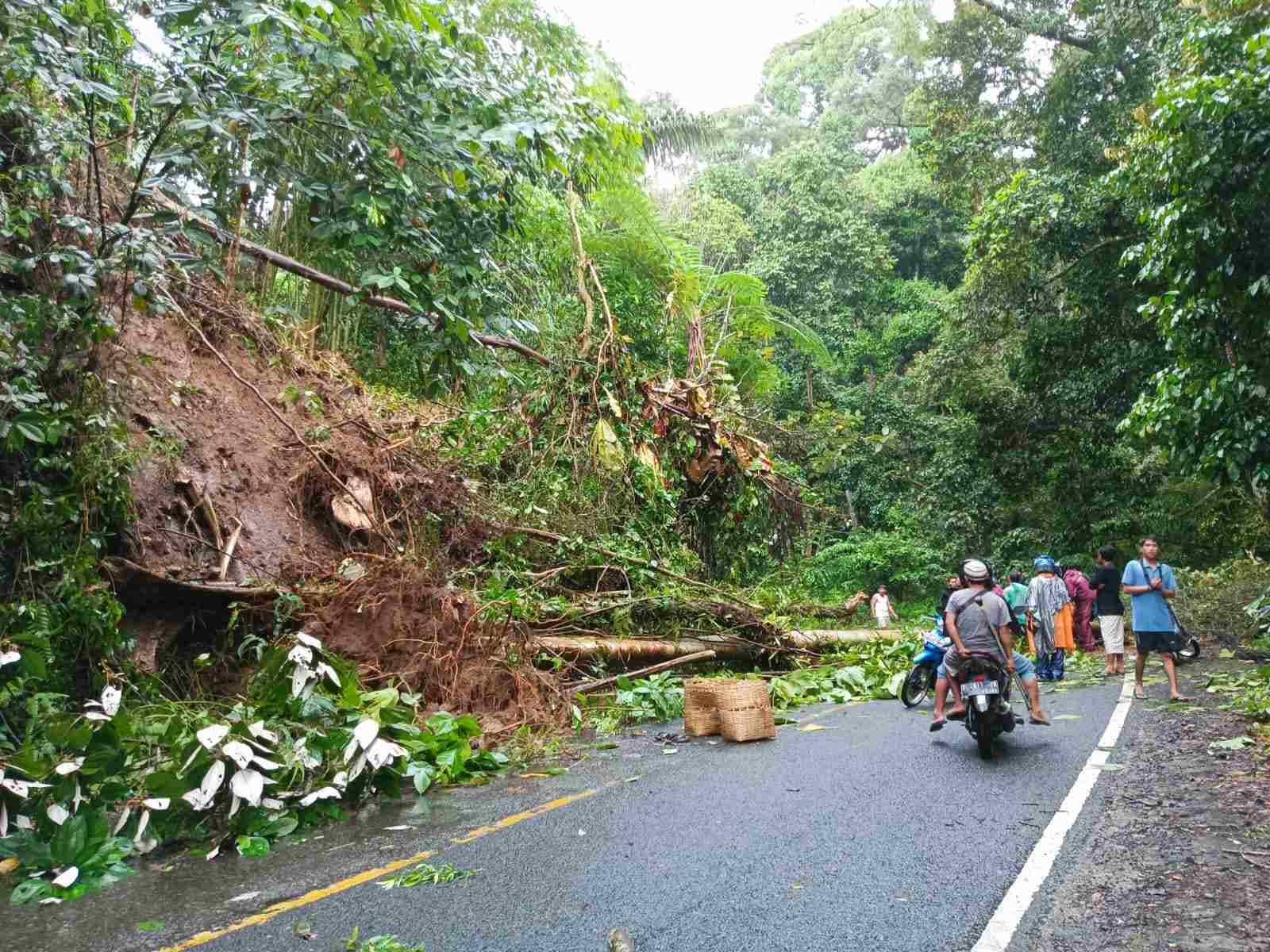 Jalan Liwa-Krui Rawan Bencana Alam, Pengendara Diminta Waspada Saat Melintas