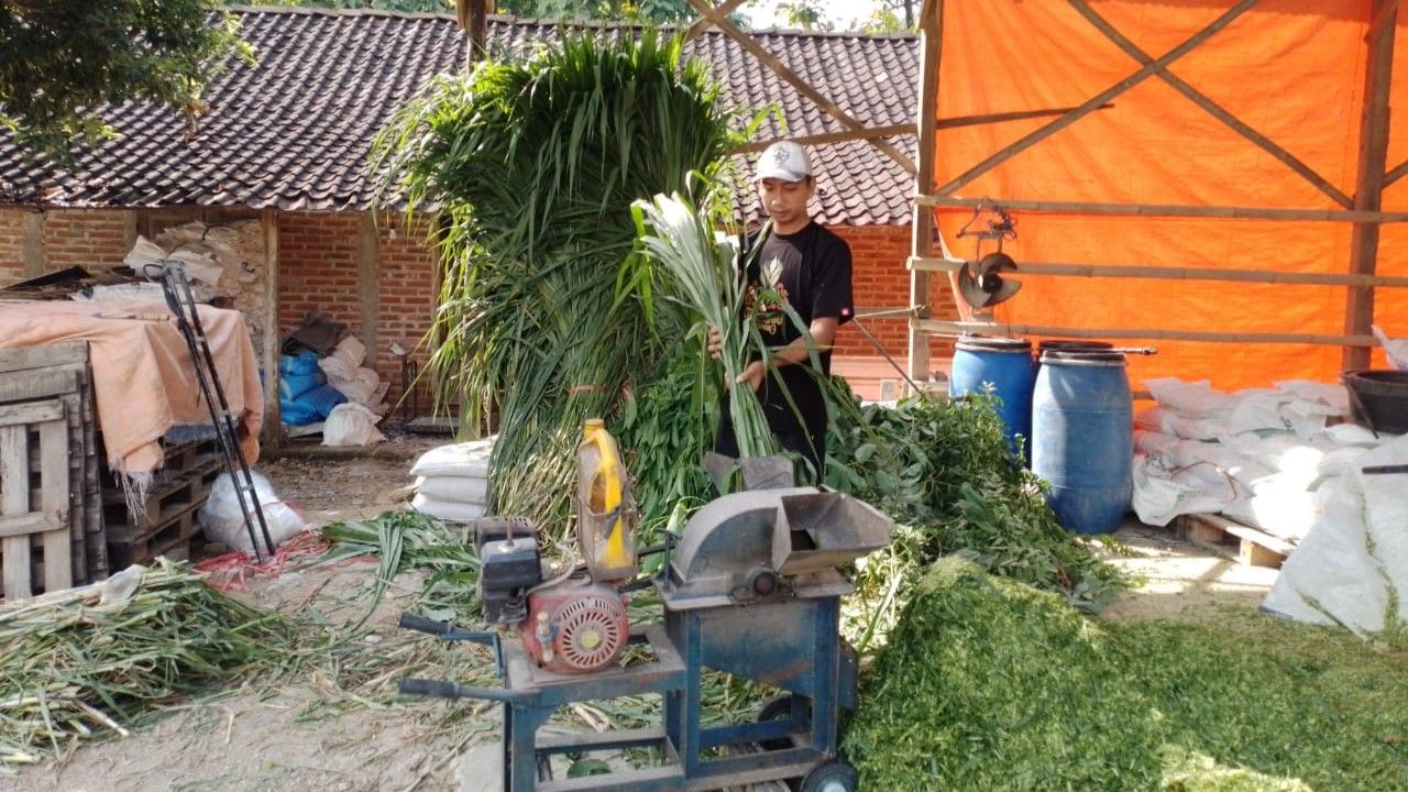 Transformasi Mimpi Jadi Cuan: Kisah Inspiratif Pengusaha Pakan Ternak dan Peran KUR BRI