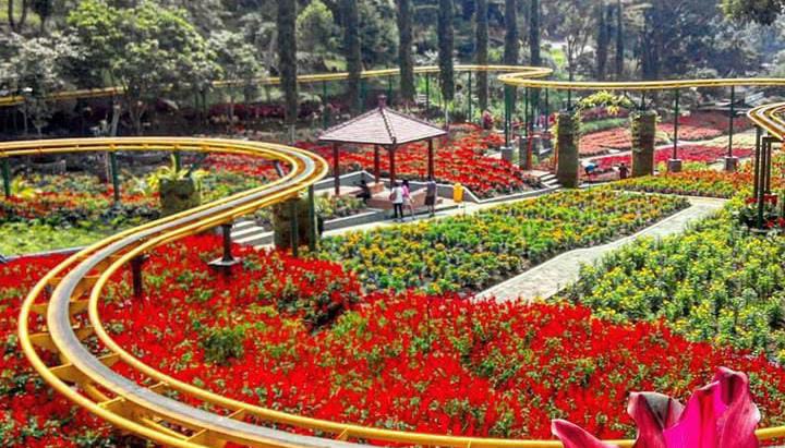 Taman Selecta Malang, Taman Bunga Legendaris di Udara Sejuk Batu