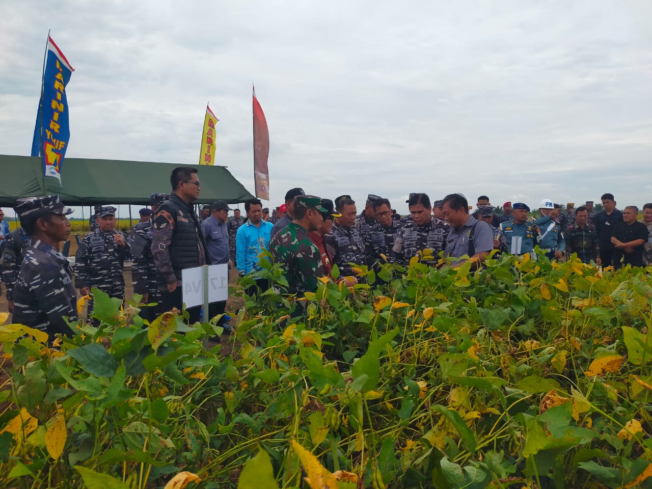 Dandim 0412 Dampingi KASAL Cek Kesiapan Panen Raya Kedelai di Lampung Utara