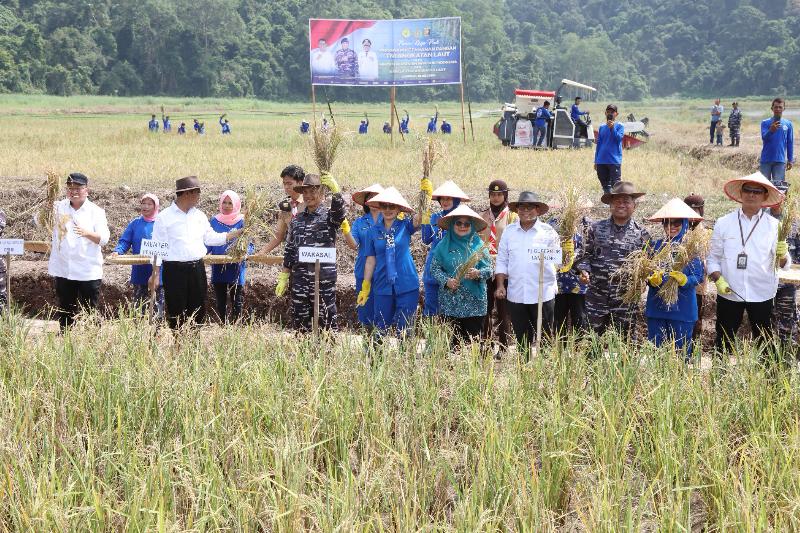 Mentan Andi Amran dan Wakasal Erwin Bersama Pj. Gubernur Samsudin Panen Raya Padi dan Jagung