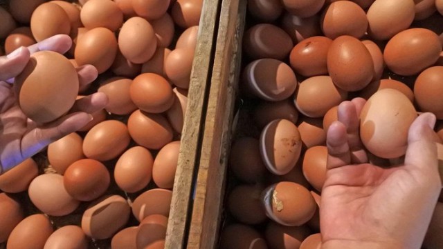Telur Ayam di Bandar Lampung Tembus Rp30 Ribu per Kilogram