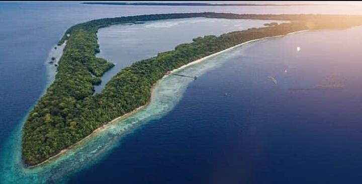 Menyelami Pesona Pulau Kakaban, Surga Ubur-Ubur Langka di Laut Berau