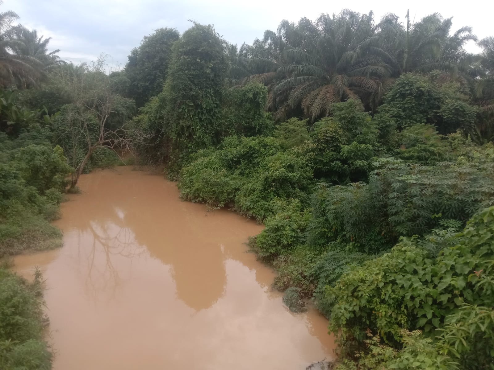 Diduga Cemari Sungai, Aktivitas PT Kencana Acidindo Perkasa Diprotes Warga