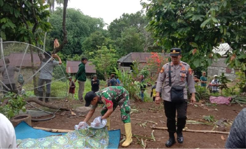 Tragedi Serangan Gajah Liar di Tanggamus, Petani Wanita Tewas Tercabik-cabik