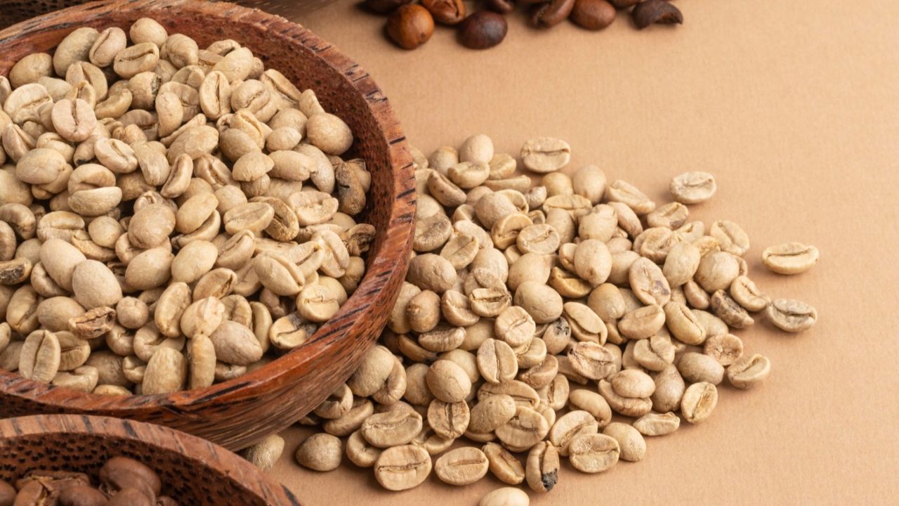 Harga Kopi Robusta Merosot, Petani Diminta Jaga Kualitas