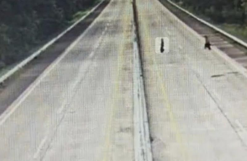 Terobos Tol Bakter, Satu Meninggal Dunia Usai Tertabrak