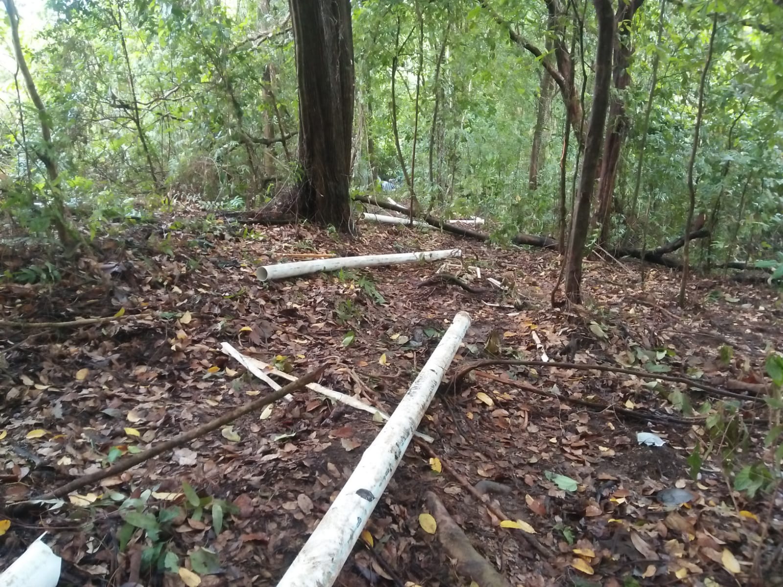 Saluran Pipa Air Bersih Masyarakat Gunungratu Dirusak Gajah, 300 KK Kesulitan Air Bersih