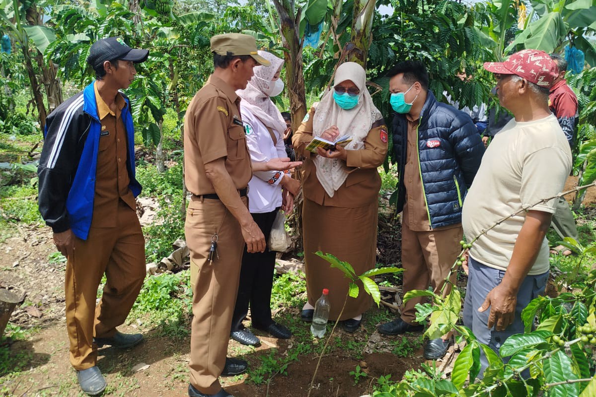 Geger! Bayi Tak Bernyawa Ditemukan dalam Karung di Kebun Kopi Rigis Jaya