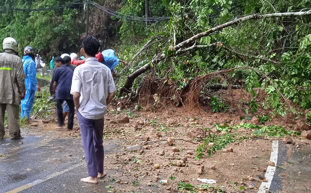 ‎Pohon Tumbang dan Longsor Hambat Arus Lalulintas di Ruas Jalan Liwa-Krui