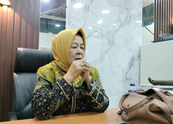 Elly Wahyuni Dorong Optimalisasi PAD di Tengah Penurunan Transfer Pusat