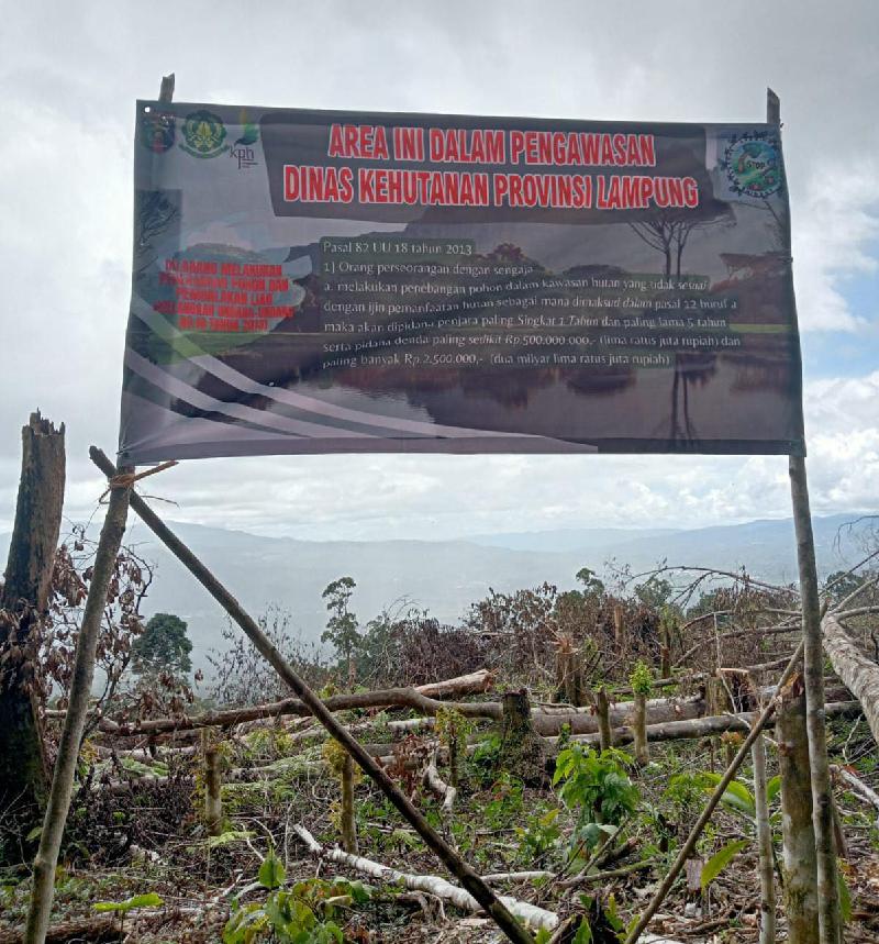 DPRD Juga Soroti Maraknya Pembalakan Liar Hutan Lindung Register 43B Belalau