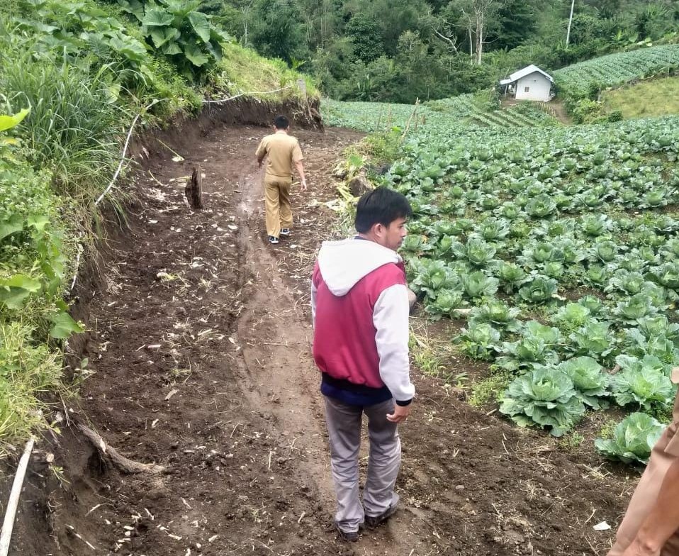 20 Persen Anggaran Ketahanan Pangan Untuk Buka-Bangun Jalan Pertanian 