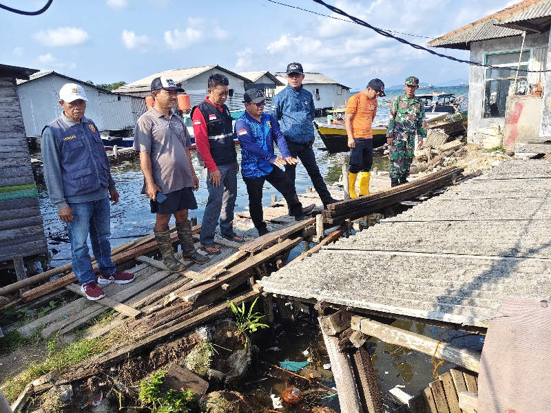 Angin Kencang Terjang Bandar Lampung, Pohon Tumbang dan Rumah Panggung Roboh