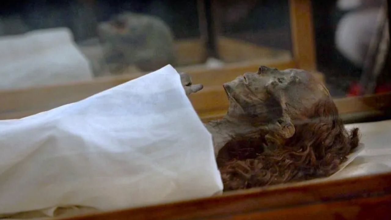 Mumi dalam Peradaban Mesir Kuno: Keyakinan, Proses, dan Makna Budaya