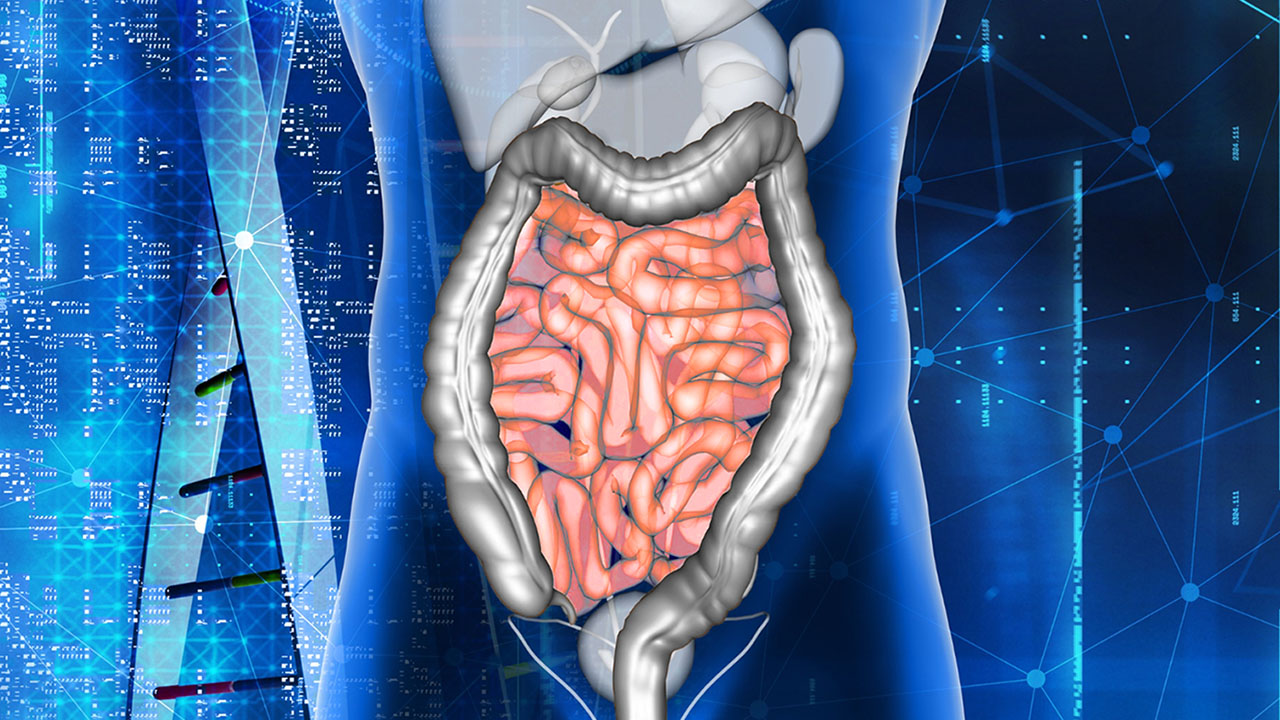 Enzim di Usus Halus; Jenis dan Perannya dalam Pencernaan