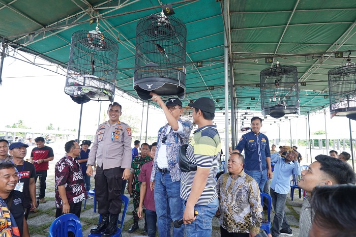 Peringati HUT Kabupaten Pesbar ke-10, Karang Taruna Gelar Lomba Burung Berkicau ke-3