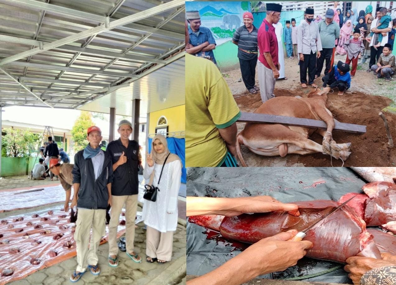 Cek Penyembelihan Hewan Kurban, Puskeswan Sukau Pastikan Tidak Temukan Penyakit 